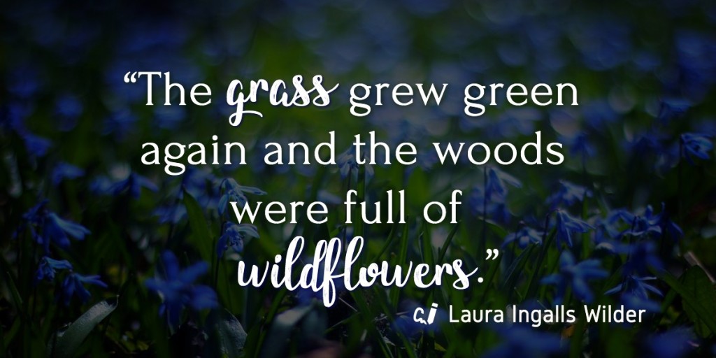 "The grass grew green again and the woods were full of wildflowers." Laura Ingalls Wilder